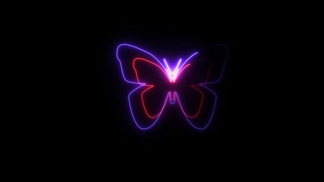 Butterfly Neon color reveal and loop glowing effect. Abstract Animation. Black background copy space.