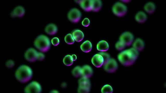Abstract bubbles animated on blurred background