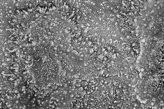 Organic crystallisation pattern