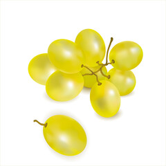 Ripe green grapes sprig close-up on white background. Cluster of fresh juicy grape. Wine grapes, table grapes. 3d realistic objects.