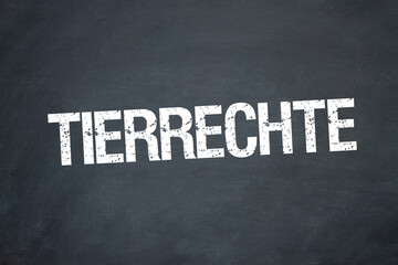 Tierrechte