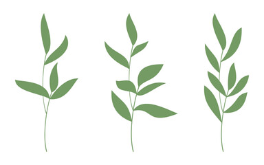 Set of vector hand drawn branches. Flat green leaves icon isolated. Floral design for print, background, banner, card. Ecology symbol, environment concept, eco sign, hipster logo.