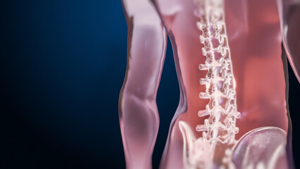 VFX Back Pain Virtual Reality Presentation Render. Digitally Generated Person Experiencing Discomfort in a Result of Spine Trauma or Arthritis. Schematic Medical Visualization.