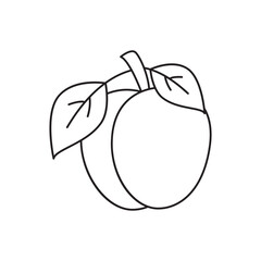 Plum icon in line style icon, isolated on white background