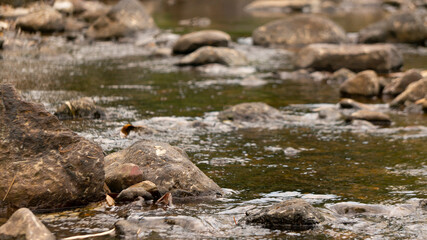 River rocks with small water discharge enter the dry season