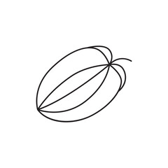 Star Fruit food icon in line style icon, isolated on white background