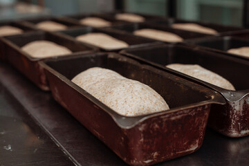 shaped bread raw dough in the molds before baking on the table in bakery