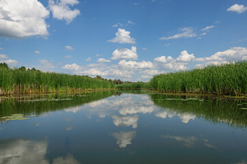 A beautiful sky with white clouds is reflected in the calm water of the Zdvizh River. Ukraine