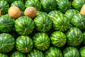 Many big sweet green watermelons and some melons market