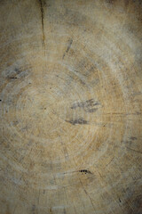 Fototapeta premium Wood texture background. Old wood wallpaper. vintage style 