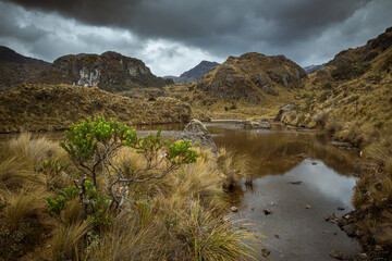 Landscape of Cajas National Park, Ecuador