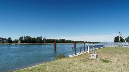 Naturschutzgebiet in der ehemaligen Rheinaue. Blick auf den Gro&szlig;er Els&auml;ssischer Kanal von Spitze der Rheininsel