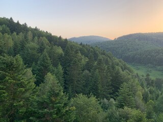 Hills covered with coniferous forest at sunset