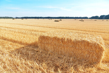 haystack on the field against the blue sky in Ukraine. field of cut wheat