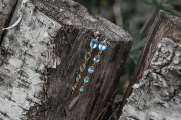 Gold earrings with drops of blue topaz lie on an old stump