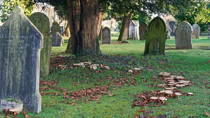 A churchyard in the grounds of an old parish church in England, UK