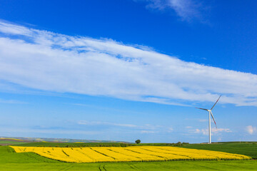 A green field, a tree and a wind turbine