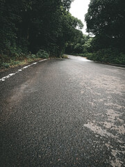 Winding road in the forest
