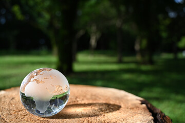 ガラスの地球儀（アフリカ周辺）　SDGs  環境保護 イメージ　glass globe on the stump of a tree