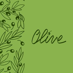 Olive tree banner template. Hand drawn doodle style background. Hand-drawn olive lettering. Design for olive oil, olive packaging, natural cosmetics, health products.
