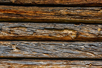 Texture of the logs damaged by wood pests. Wooden pattern for background