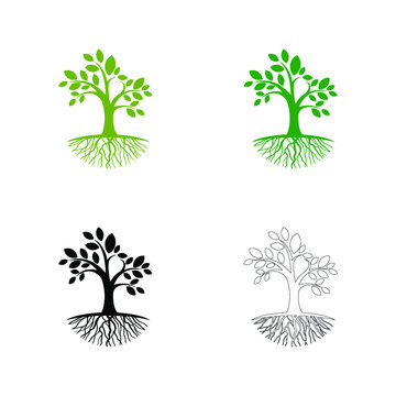 tree roots logo vector