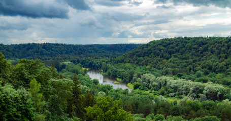 Fototapeta na wymiar River valley with green trees and cloudy sky