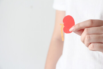 hand holding lung shape made from paper on blue background with copy space, world kidney day, transplant concept.