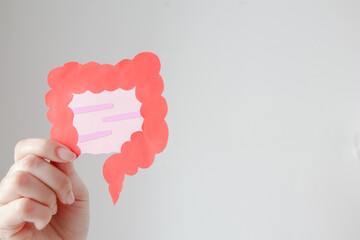 Hand holding intestine shape, healthy bowel digestion, colon, gastric, stomach cancer concept