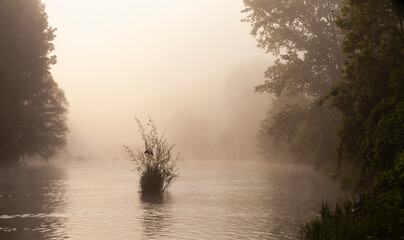 Amanecer invernal en un río entre bruma (niebla). Agua, paisaje. © David