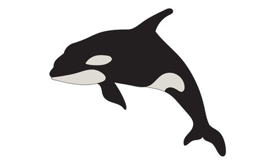 Fototapeta premium whale illustration vector design