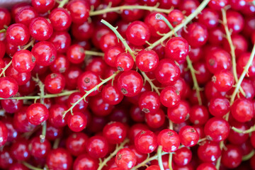 Healthy organic currants at a roadside street market