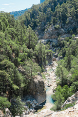 Fototapeta premium river in mountains