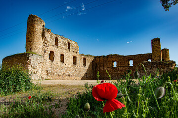 castillo de peñaflor