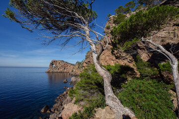 Sa Foradada  término municipal de Deyá, Mallorca, balearic islands, Spain