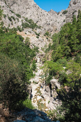 Fototapeta na wymiar canyon in the mountains