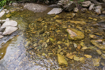 Close-up of mountain water with stones in the river.