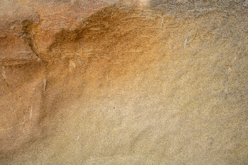 Close-up of the surface of marine rocks at low tide