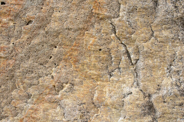 Close-up of the surface of marine rocks at low tide