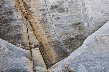 Close-up of the surface of marine rocks at low tide