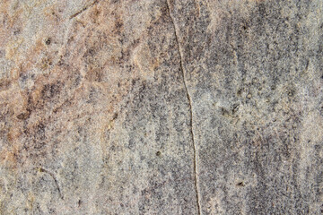 Close-up of the surface of marine rocks at low tide