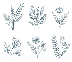 Line art flowers plant floral leaves isolated concept set. Vector flat graphic design illustration