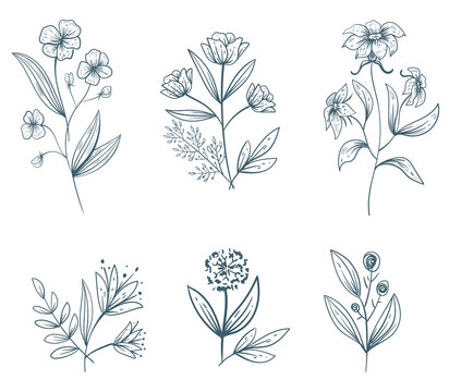Line art flowers plant floral leaves isolated concept set. Vector flat graphic design illustration