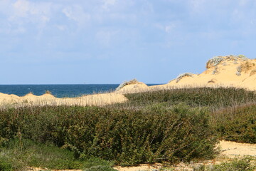 Mediterranean coast in northern Israel