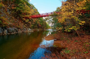 Scenery of the red Futami suspension bridge over Toyohira River with beautiful fall colors on the riverside cliffs in Jozankei (定山渓), a famous Onsen (hot spring) destination in Sapporo Hokkaido, Japan - obrazy, fototapety, plakaty