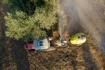 Pesticide treatment for an olive plantation