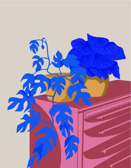 illustration in a minimalistic style.  chest of drawers with plants in pots.