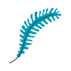 One green fern leaf. Decoration plant and flower. Nature and flora. Flat vector illustration isolated on white background