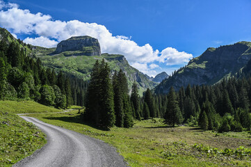 Fototapeta na wymiar Schweizer Berge