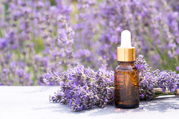 Obraz na płótnie Canvas Dropper bottle with lavender cosmetic oil or hydrolate against lavender flowers field as background with copy space. Herbal cosmetics and modern apothecary concept. Lavender essence